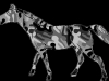 mamondark-grey-camo-horse-2012-03-12-at-2-26