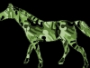 mamongreen-camo-horse2012-03-12-at-2-26